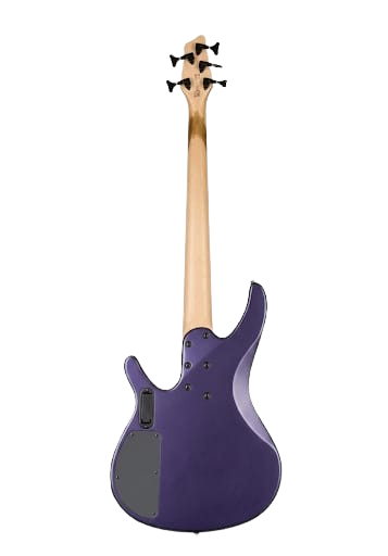 Washburn BB-5