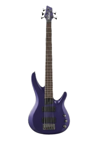 Washburn BB-5