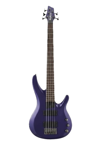 Washburn BB-5