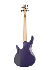 Washburn BB-5