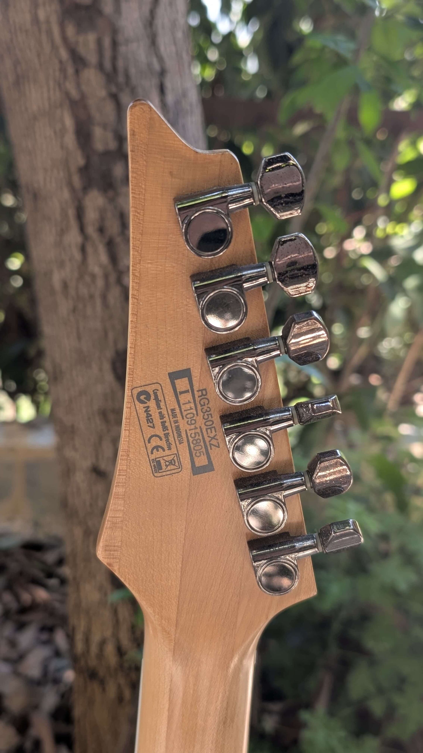 Ibanez rg350exz (Used)