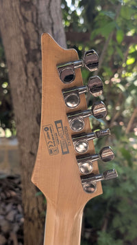 Ibanez rg350exz (Used)