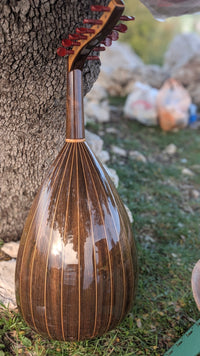 Professional Lebanese oud By Georges Bitar - USED