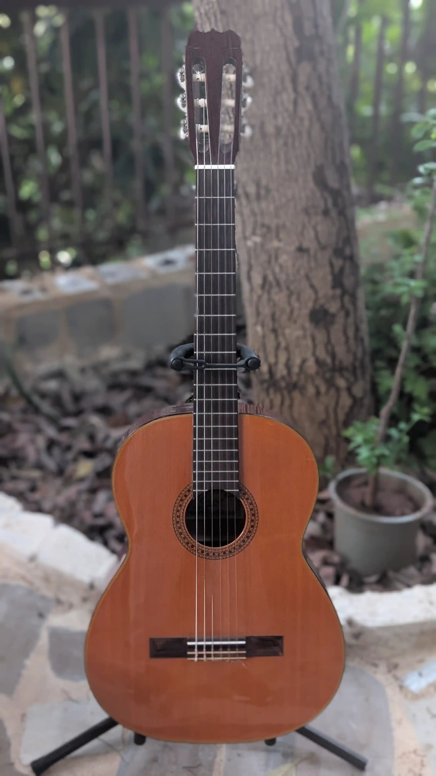 Fender FC-10