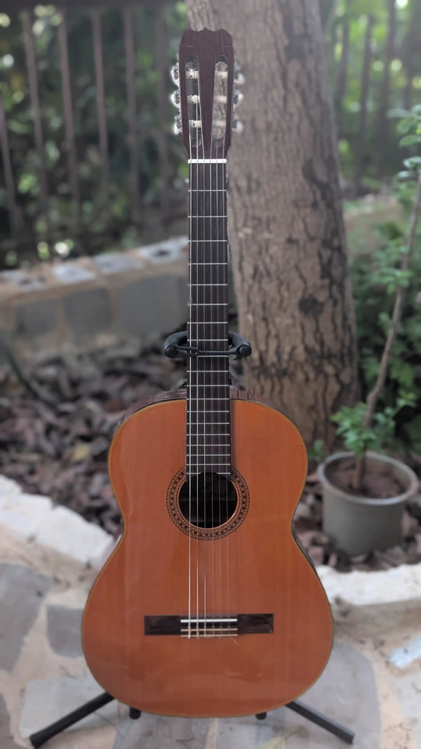 Fender FC-10