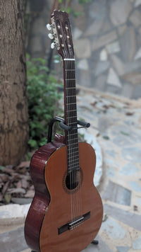 Fender FC-10
