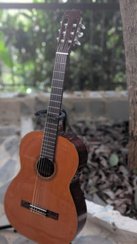 Fender FC-10