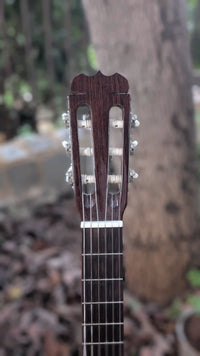 Fender FC-10