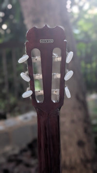 Fender FC-10