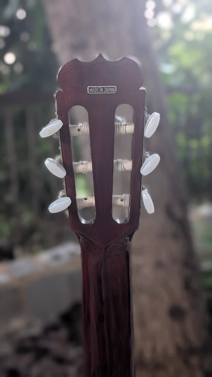 Fender FC-10