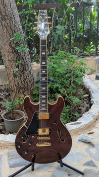 Aria Pro ii ta-60 Vintage Electric Guitar, Left Handed