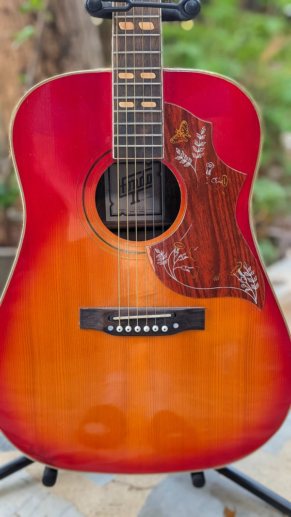 Hondo ii h180a Vintage Electro Acoustic Guitar, Hummingbird