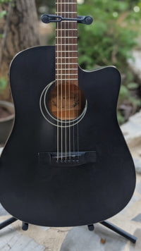 Moon Guitar