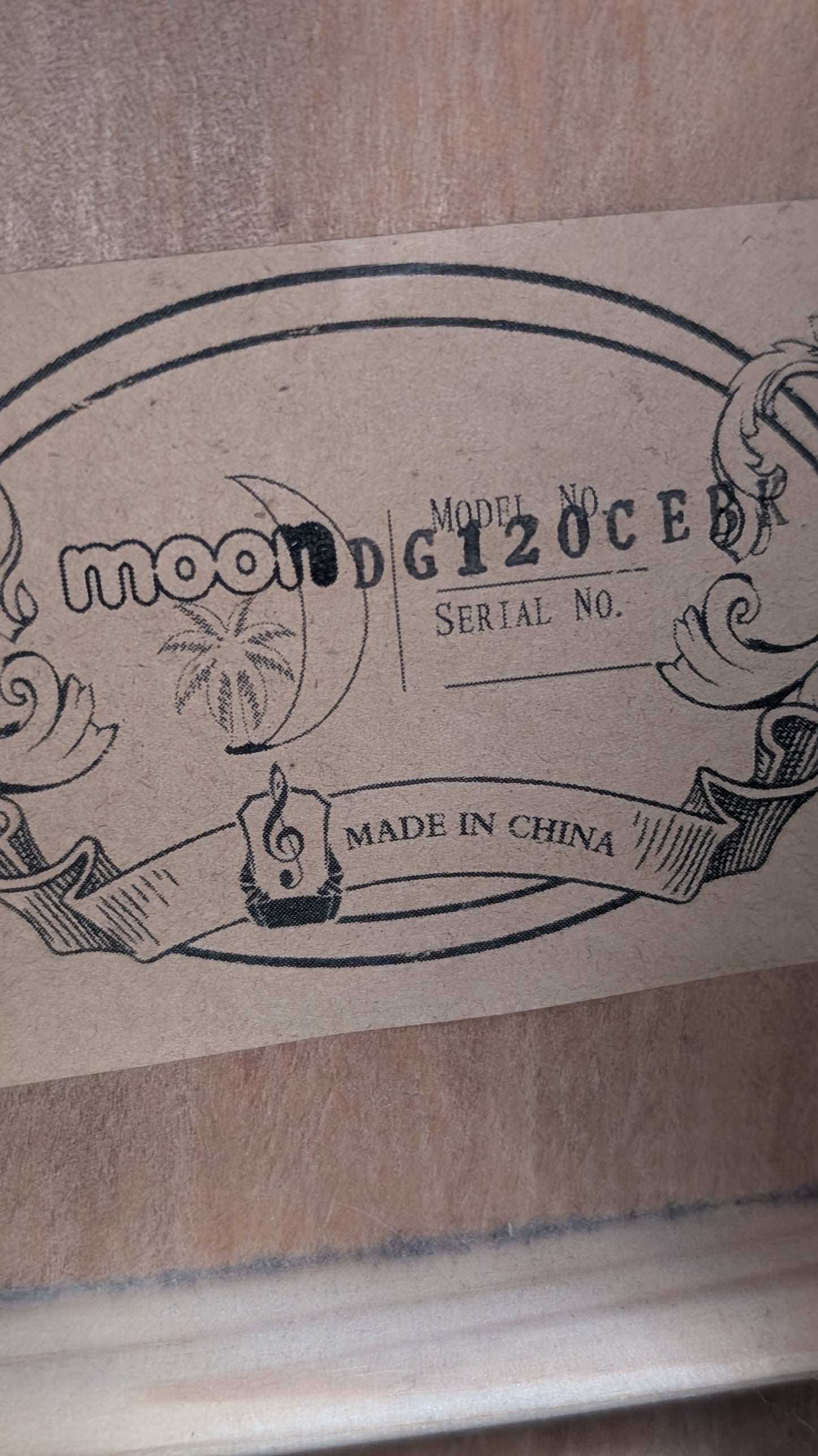 Moon Guitar