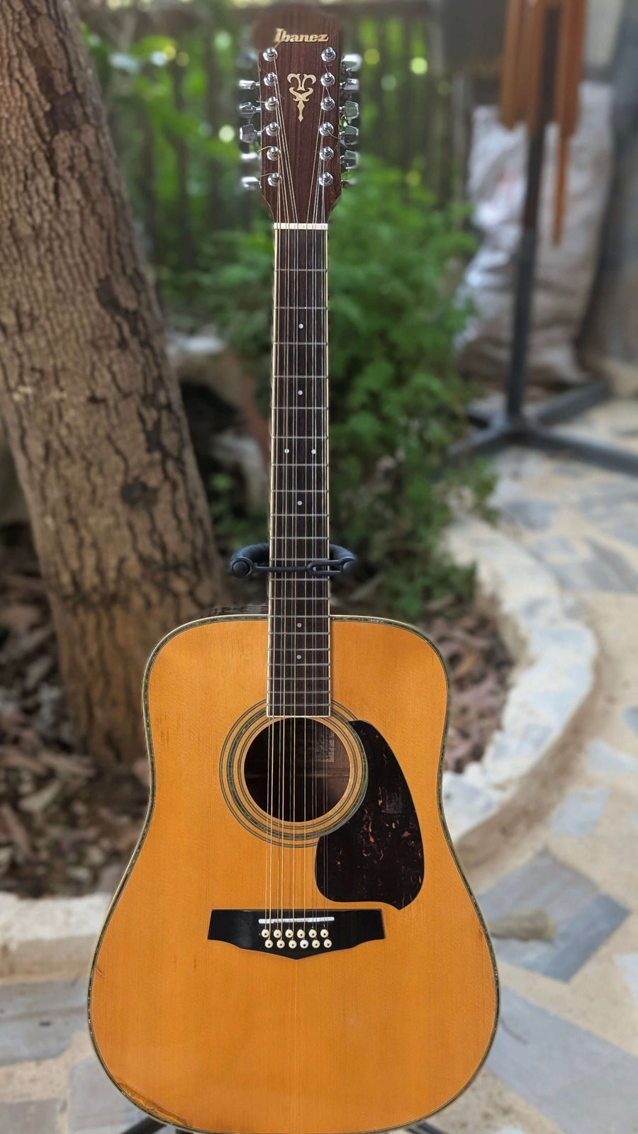 Ibanez V312