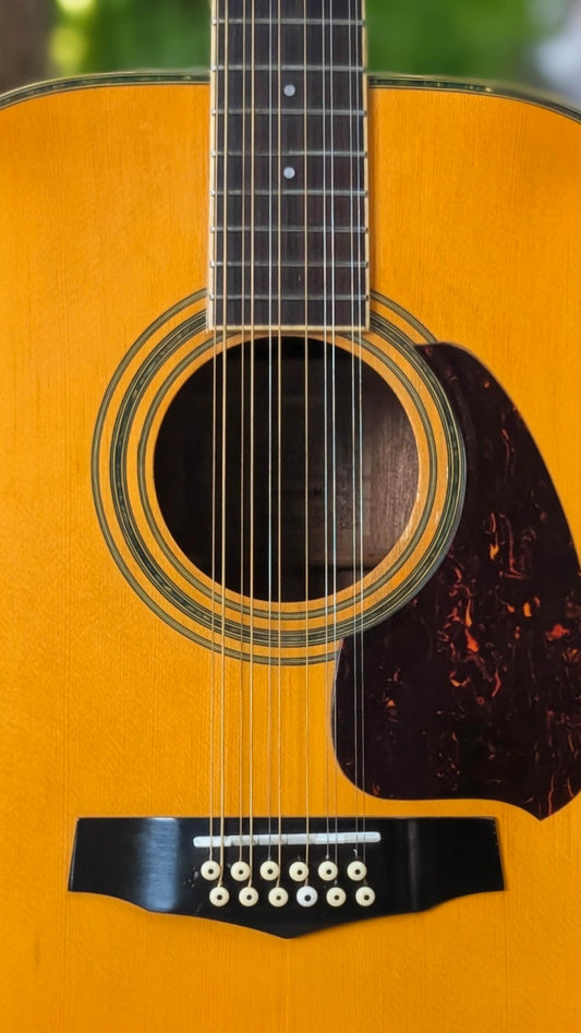 Ibanez V312