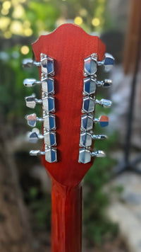 Ibanez V312