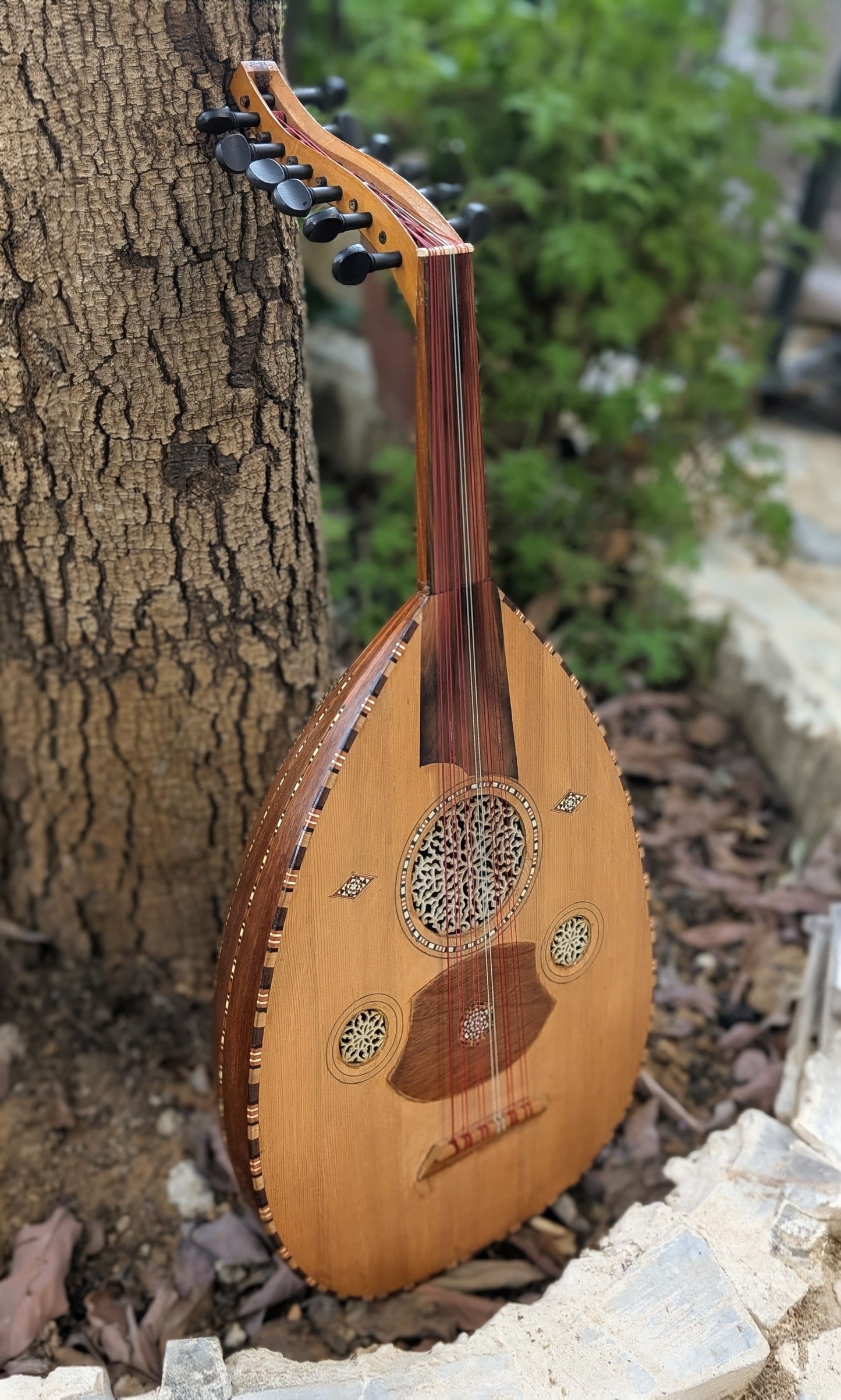 Professional Oud Nicolas El Hares 1993