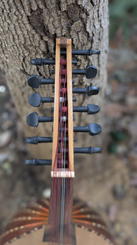 Professional Oud Nicolas El Hares 1993