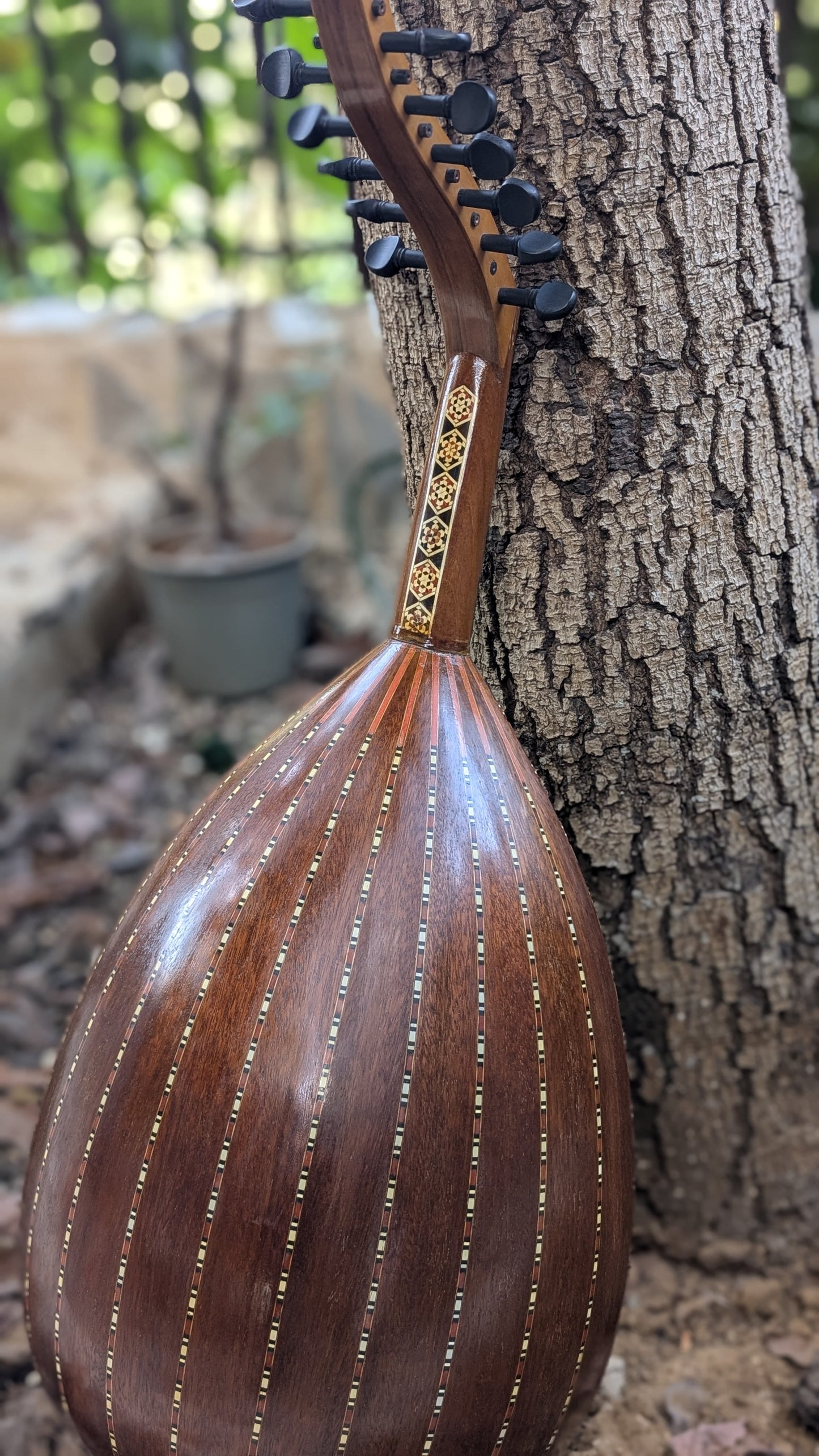 Professional Oud Nicolas El Hares 1993