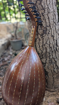 Professional Oud Nicolas El Hares 1993
